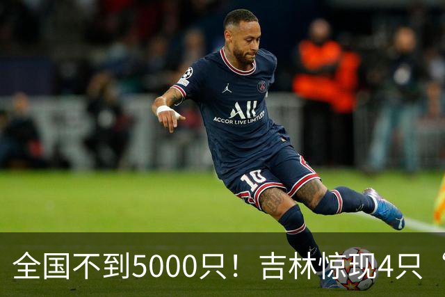 全国不到5000只！吉林惊现4只“四凶之首”，看懵30年老手！