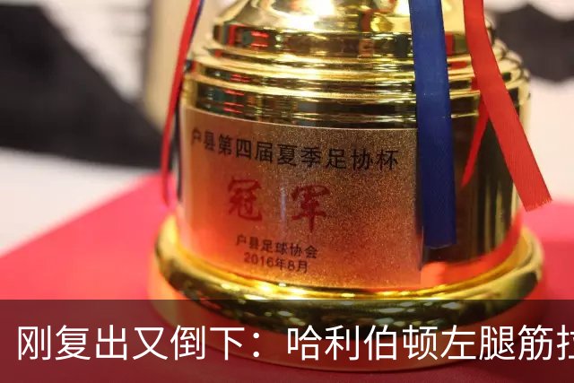 刚复出又倒下：哈利伯顿左腿筋拉伤，至少缺阵两周