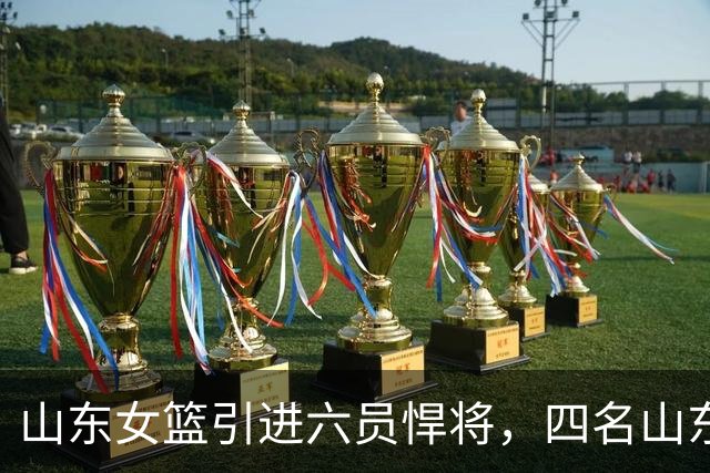 山东女篮引进六员悍将，四名山东籍，不只剑指总冠军，更着眼王朝