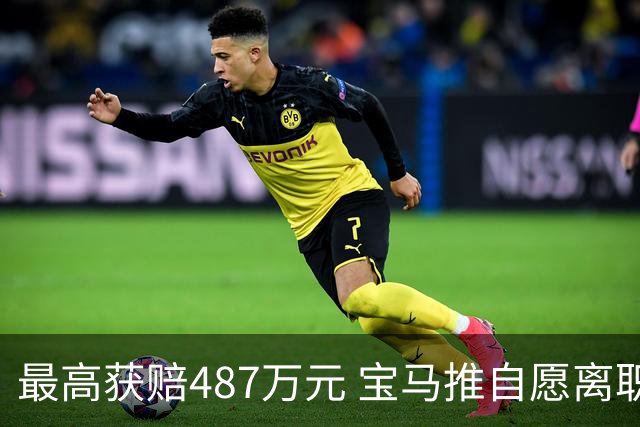 最高获赔487万元 宝马推自愿离职方案 4万名员工争相申请挤崩系统