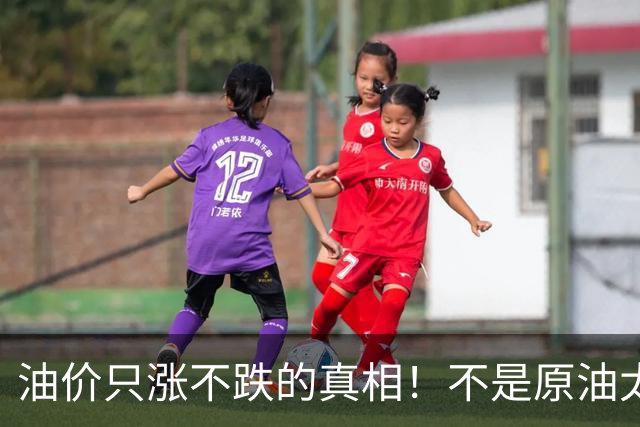油价只涨不跌的真相！不是原油太贵，是几千万电车没人交养路费？