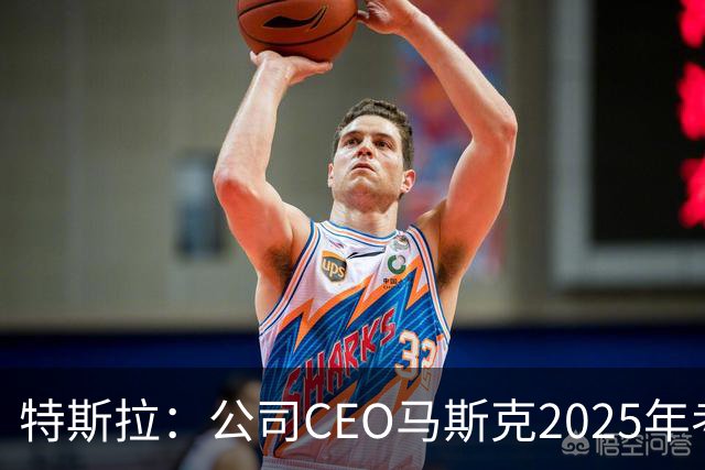 特斯拉：公司CEO马斯克2025年考核未达标，全年实际到手收入为零，没有现金，也没有解锁任何股权