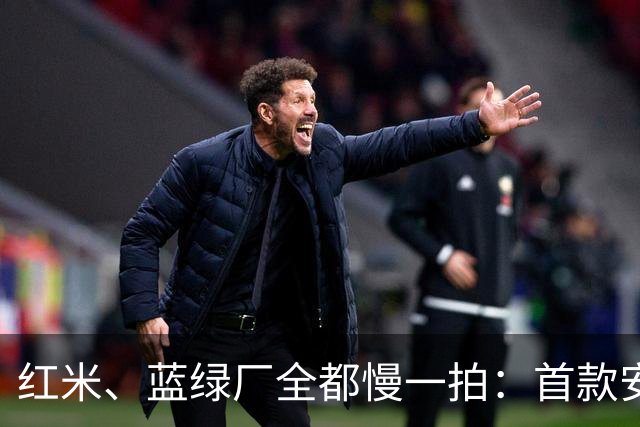 红米、蓝绿厂全都慢一拍：首款安卓阔折叠999元起，品牌你想不到