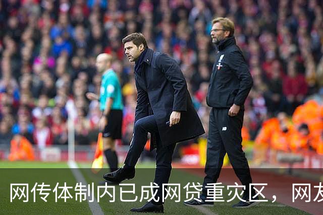 网传体制内已成网贷重灾区，网友说：他们也许根本没打算还！