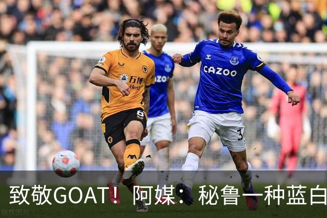 致敬GOAT！阿媒：秘鲁一种蓝白色小花被命名梅西鼠尾草