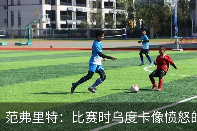 范弗里特：比赛时乌度卡像愤怒的公牛，我是沟通桥梁