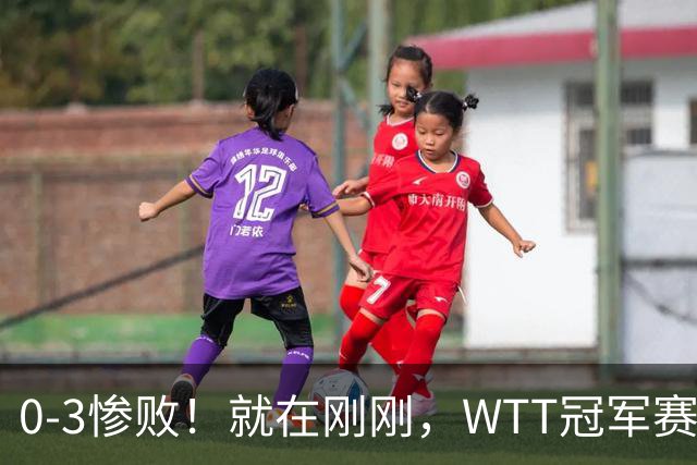 0-3惨败！就在刚刚，WTT冠军赛乱套了：张本智和光速一轮游！周启豪让二追三，蒯曼险被翻盘