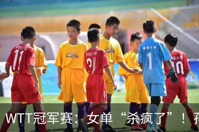 WTT冠军赛：女单“杀疯了”！孙颖莎上上签，蒯曼或“复仇”张本
